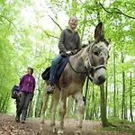Glamping In The Ardennes Appartement *