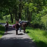 Appartement Glamping In The Ardennes