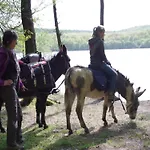 Glamping In The Ardennes Signy-lʼAbbaye