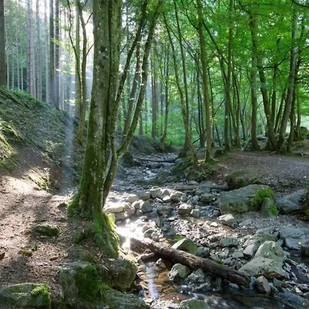 Apartamento Glamping In The Ardennes