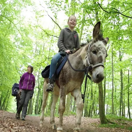 Glamping In The Ardennes Apartamento *