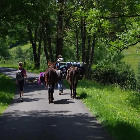 Apartamento Glamping In The Ardennes