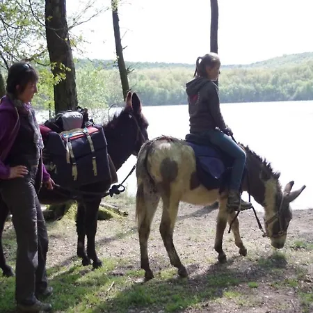 Glamping In The Ardennes Signy-lʼAbbaye