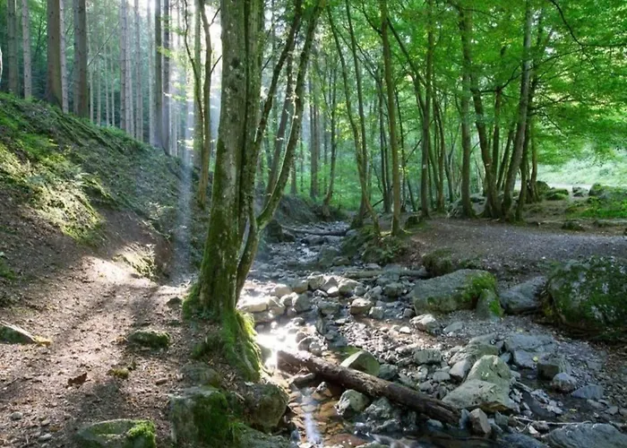Appartement Glamping In The Ardennes