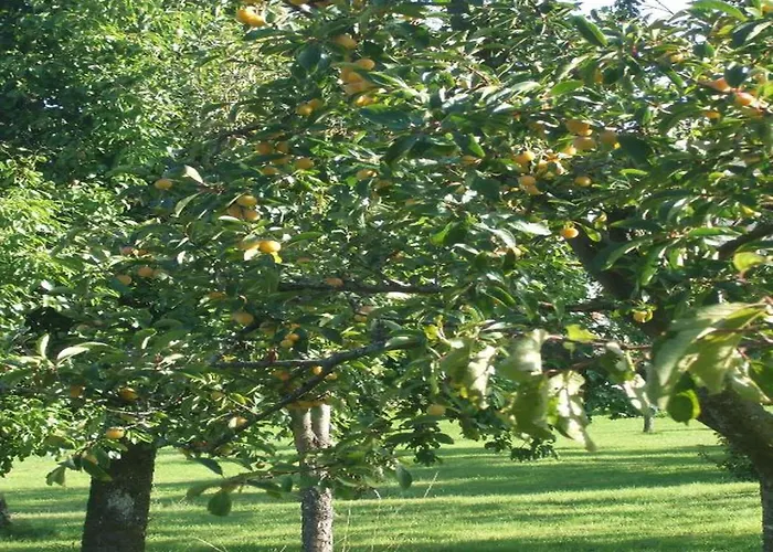 Glamping In The Ardennes Appartement
