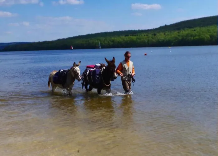 Glamping In The Ardennes * Signy-lʼAbbaye