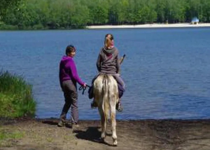 Appartement Glamping In The Ardennes *