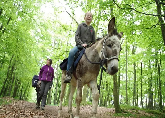 Glamping In The Ardennes Appartement *