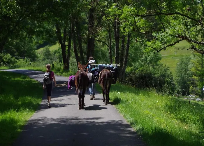 Appartement Glamping In The Ardennes