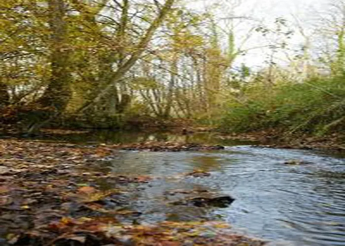 Appartement Glamping In The Ardennes *