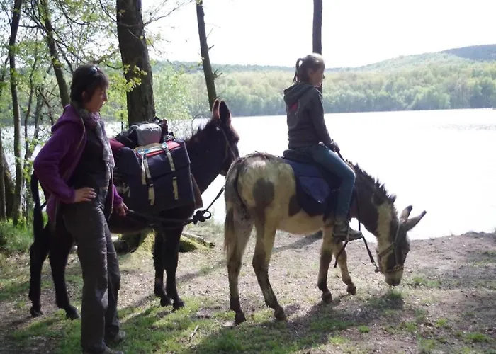 Glamping In The Ardennes Signy-lʼAbbaye