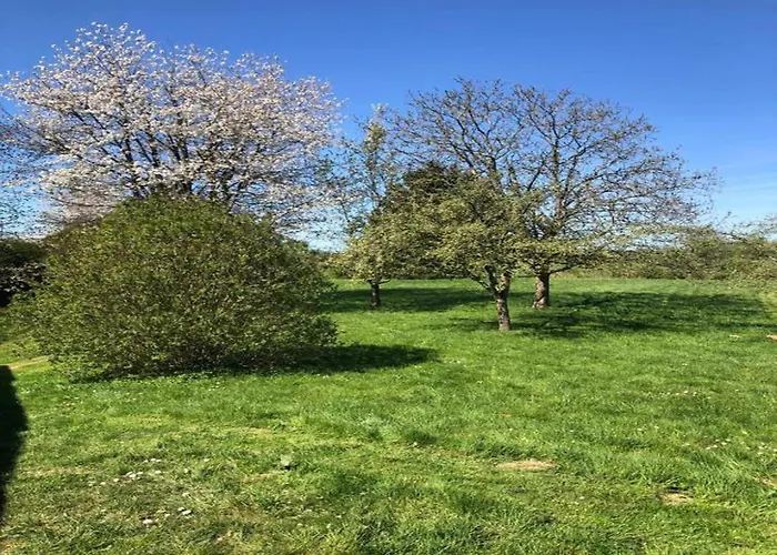 Glamping In The Ardennes