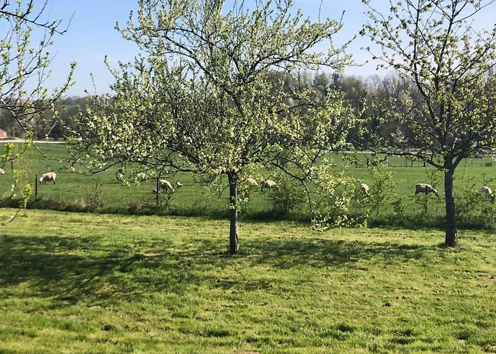 Glamping In The Ardennes Appartement *